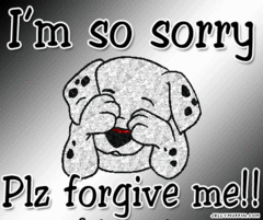 apology (disculpa)