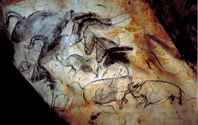 Aurochs, horses, and rhinoceroses, wall painting in the Chauvet Cave, Vallon-Pont-d' Arc, France