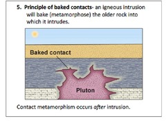 baked contact