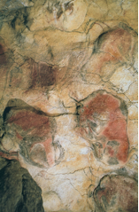 Bison, detail of a painted ceiling in the cave of Altamira, Spain