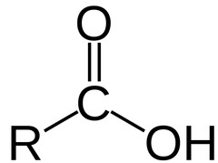 Carboxylic Acid