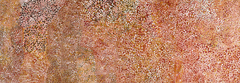 Earth's Creation. Emily Kame Kngwarreye. 1994 C.E. Synthetic polymer paint on canvas.