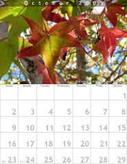 el Día de los Santos Inocentes