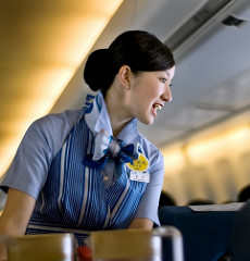 flight attendant (auxiliar de vuelo)