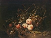 Fruit and Insects Ruysch 1711 oil on wood