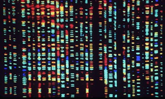 genome