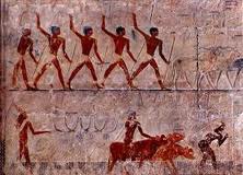 *Goats Treading Seed and Cattle Fording A Canal*
2450-2350 BC
(mastaba of Ti) Saqqara, Egypt
Old Kingdom
Painted Limestone

Separated into two registers. The bottom shows people herding cattle. The top shows men in profile with raised knives following their cattle. Probably symbolic.