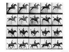 Horse Jumping
c. 1878
Artist: Eadward Muybridge
Period: Realism
Used a device called a zoopraxiscope to show that at some point in a horses gallop both of its feet are above the ground.