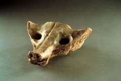 ID: Camelid scacrum in the shape of a canine. Tequixquiac, Mexico. Prehistoric Americas. 14,000-7,000 BCE. Medium: bone
Form: made from the sacrum(hipbone) of an extinct camelid(relative of a camel)
Function: ceremonial mass. Thought to be a portal
Content: carved to look like a canine skull, ceremonial mask
Context: found in 1870 during excavation, eastern Tequixquiac
