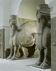 Lamassau from the Citadel of Sargon II