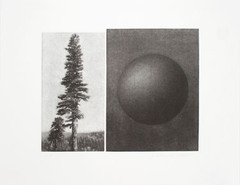 Mezzotint sequoia and moon