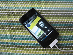 Musical intelligence