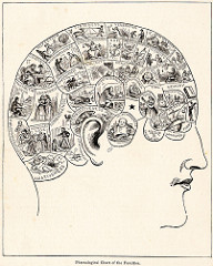 Phrenologist
