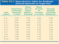 reproductive table (fertility schedule)