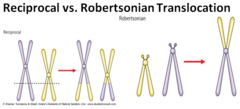 Robertsonian translocation is a type of translocation caused by