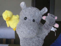 Rockwell Robinson/ Rocky