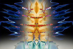 Rorschach Inkblot Test