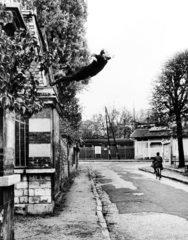 Shunk
YVES KLEIN LEAPING INTO THE VOID
Near Paris
1960
