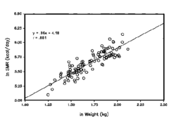 standard metabolic rate (SMR)