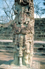 Stele D, Copan
(Maya)

(Americas)