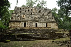 Structure 33. Yaxchilan, Mexico.

-restored temple structure
-remains of roof combf and perforations
-three central doorways lead to a single room
-corbel arch interior