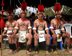 Tangut Tribes