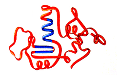 Tertiary Structure