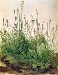 *The Great Piece of Turf*
*Albrecht Dürer*
1503
Watercolor 
16th Century Northern European 

Allegory. So accurate that a botanist can delineate species.