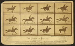 The Horse in Motion

Eadweard Muybridge, Albumen Print, 1878 

Photography now advanced enough that it can capture moments that the human eye cant
Camera snapped photos at evenly spaced points on a track giving the effect that the images happened in a sequence
Motion studies bridge the gap between still photography and movies
Used device called zoopraxiscope
Debate if all horses legs come off ground or not