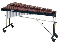 This instrument is called: