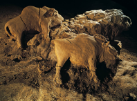 Two bison, reliefs in the cave at Le Tuc d'Audoubert, France