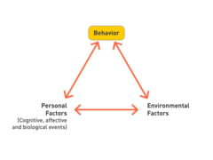 PUBH 6007 - Social cognitive theories | StudyHippo.com