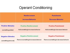 Operant Conditioning Chart